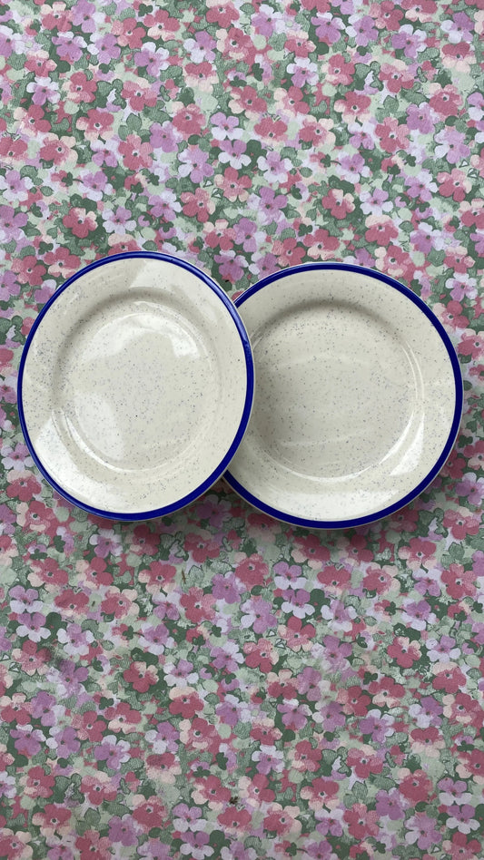 blue plates with pattern