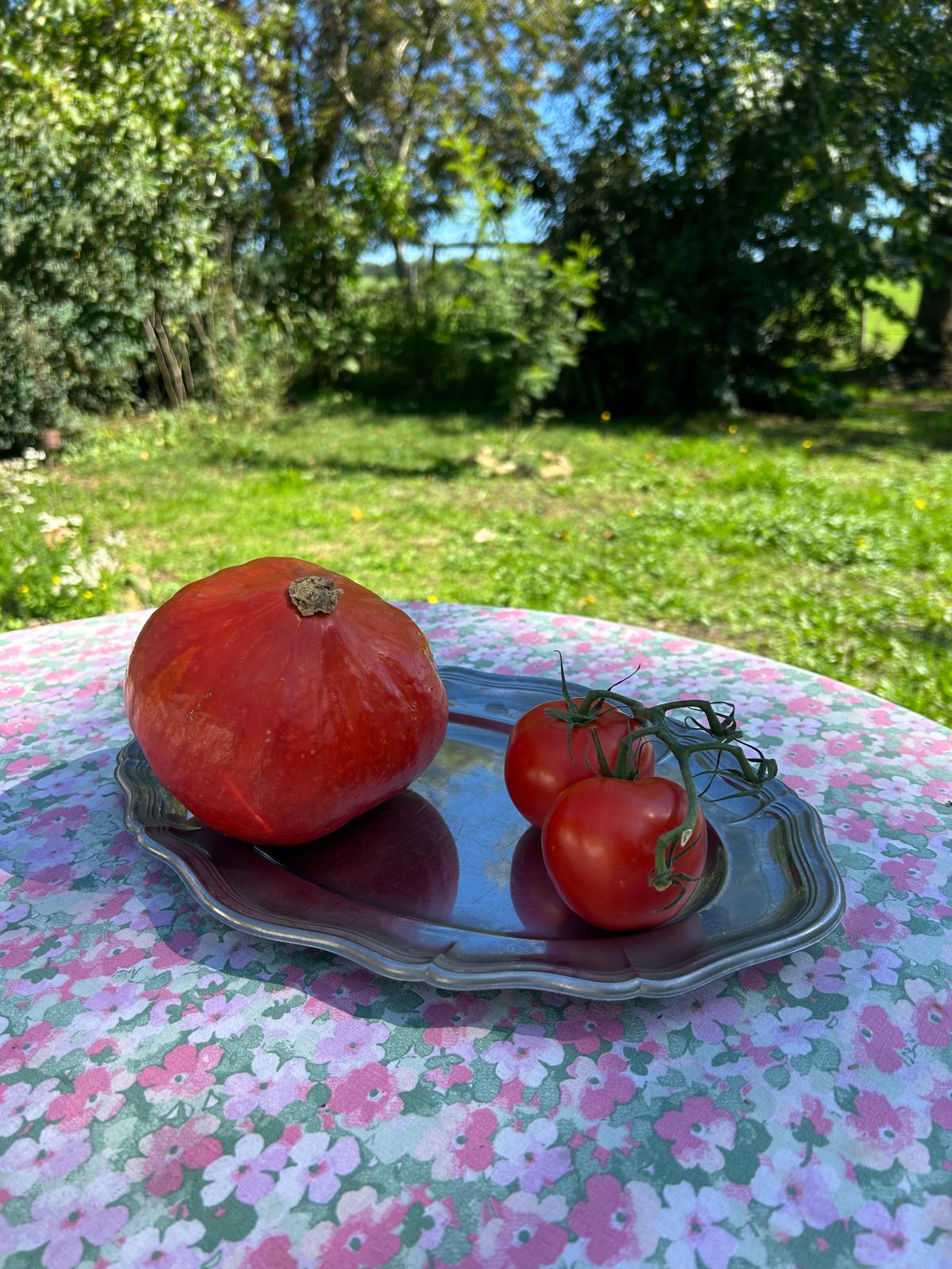 the mirror tray