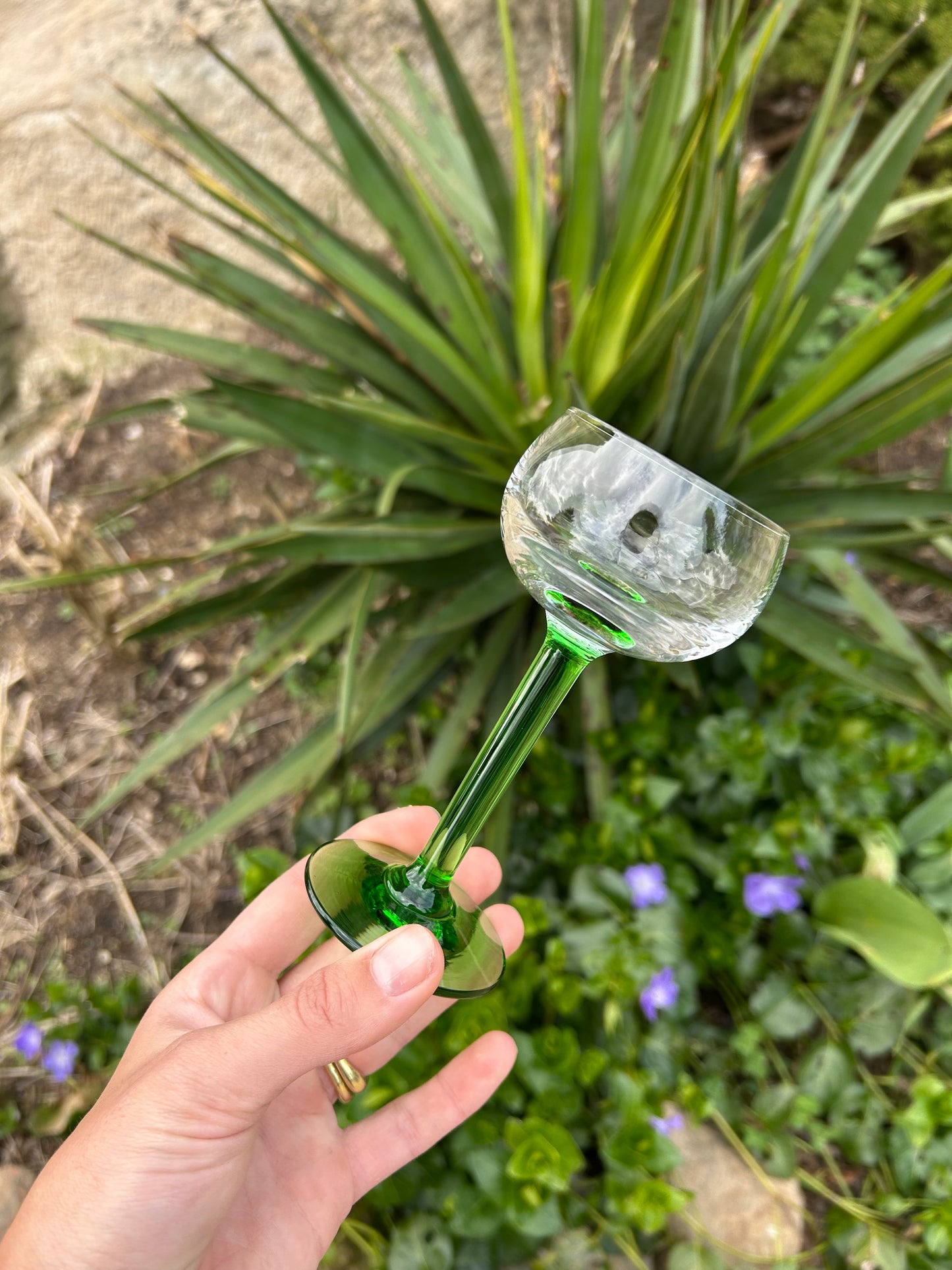 the green glasses