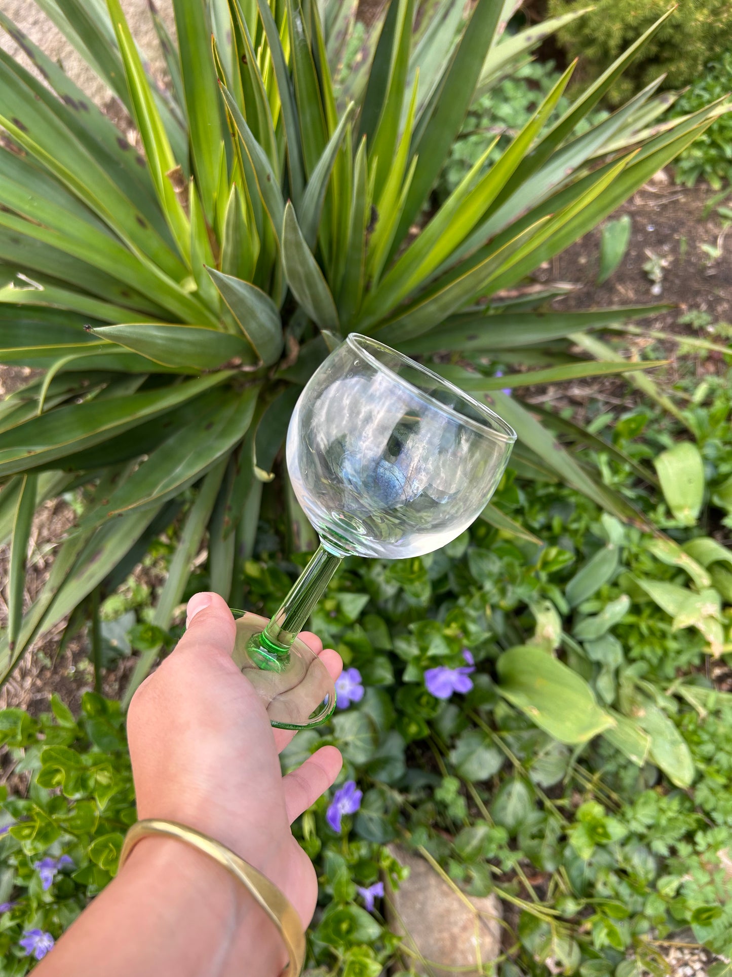 the small green glasses
