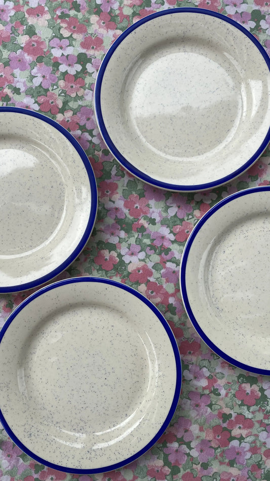 blue plates with pattern