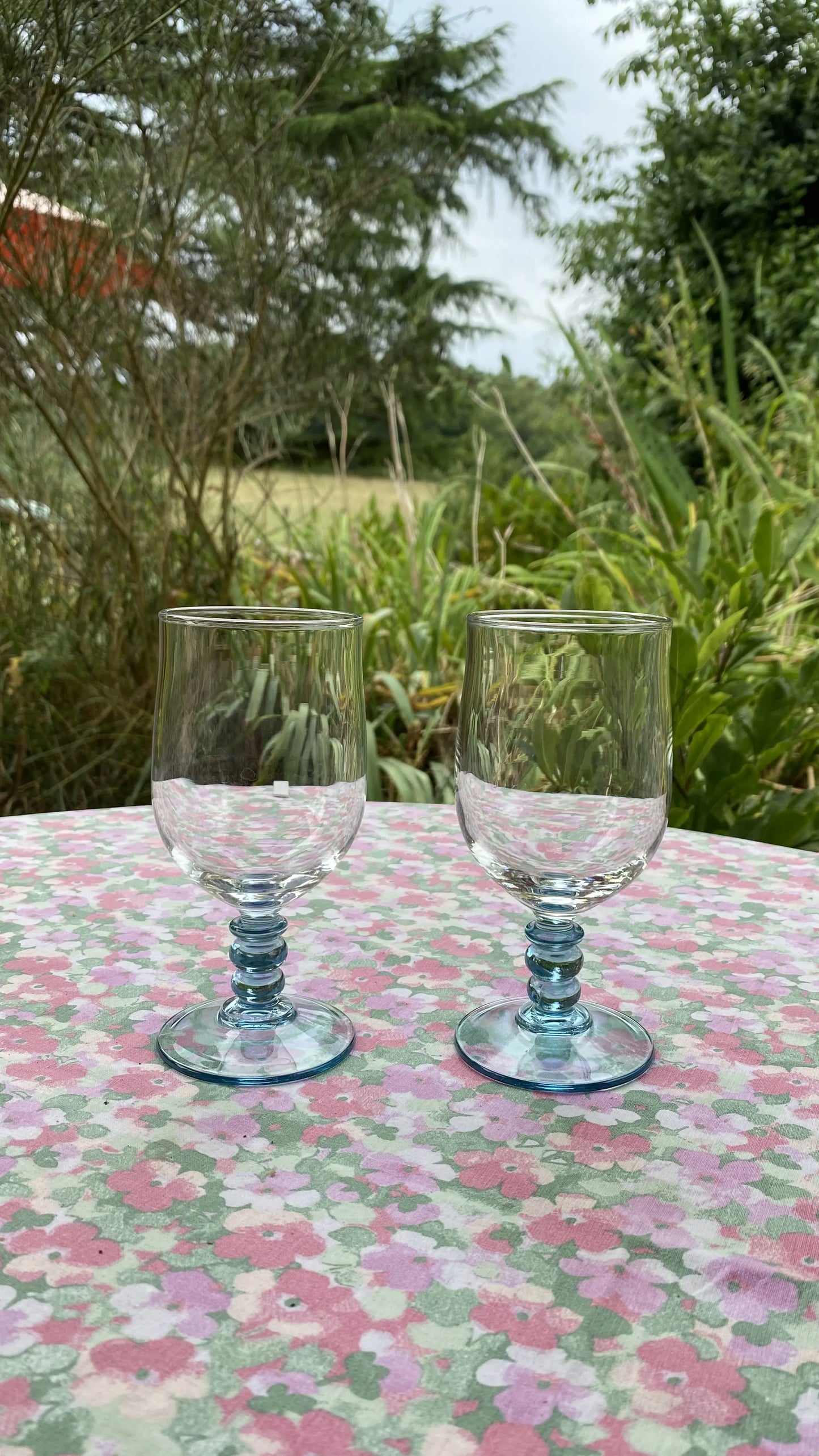 the two blue glasses
