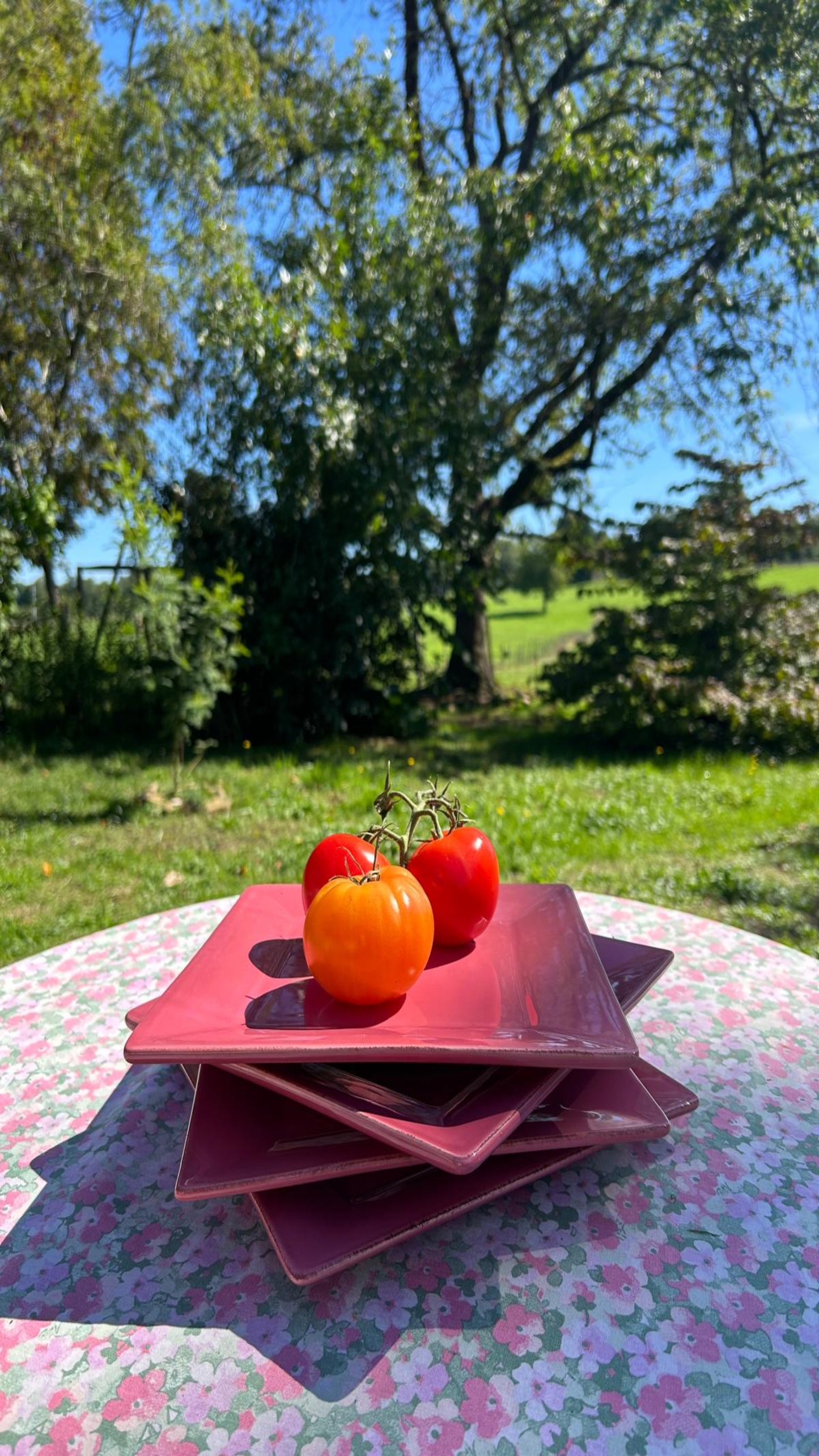 pink plates