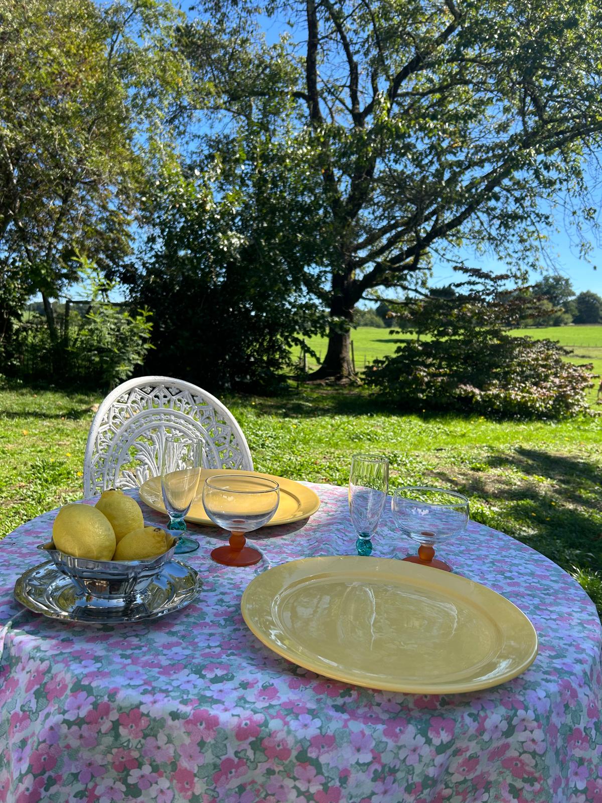 the yellow plates